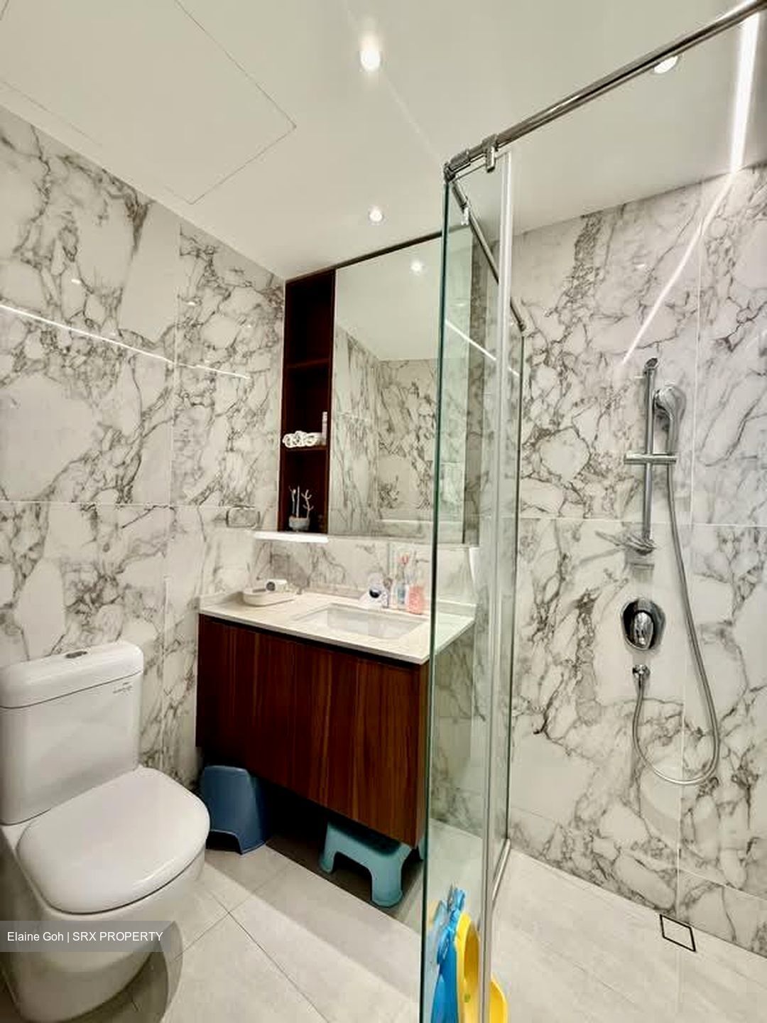The Draycott (D10), Apartment #576558211